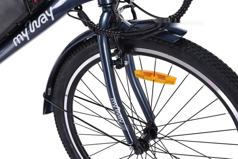 Электровелосипед MyWay Let 1.0 250 26 Pro (синий)
