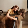 Пылесос Dreame Station Cordless Vacuum Cleaner Z40 VZV33A