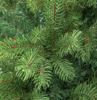 Ель Winter Glade Arkansas Premium Hinged PVC/PE 180см (291180)