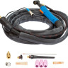 Сварочный инвертор Сварог Pro TIG 200 P DSP (W212)