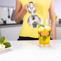 Блендер Zelmer ZHB4652 Vario