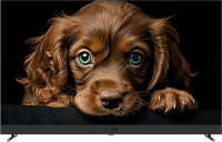 Телевизор TopDevice 55" QLED DQ08