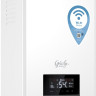 Отопительный котёл Thermex Grizzly 5-12 Wi-Fi