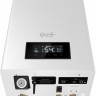 Отопительный котёл Thermex Grizzly 5-12 Wi-Fi