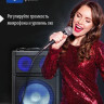 Патибокс AIWA CAS-2021