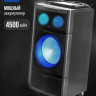 Патибокс AIWA CAS-2021