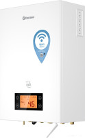 Отопительный котёл Thermex Tesla 12-24 Wi-Fi