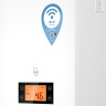 Отопительный котёл Thermex Tesla 12-24 Wi-Fi