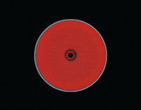 Варочная панель Electrolux EHF96240FK