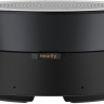 Офисный спикерфон Nearity A21S