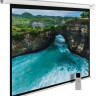 Проекционный экран Cactus MotoExpert 220x213 CS-PSME-220x165-WT