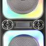 Патибокс AIWA CAS-514