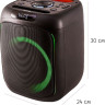 Портативная акустика AIWA CAS-200