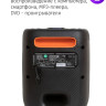 Портативная акустика AIWA CAS-200
