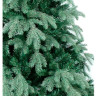 Ель Beatrees Blue Anson 2.1 м (Green)