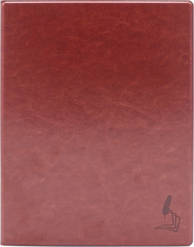 Электронная книга Onyx BOOX Lomonosov 3