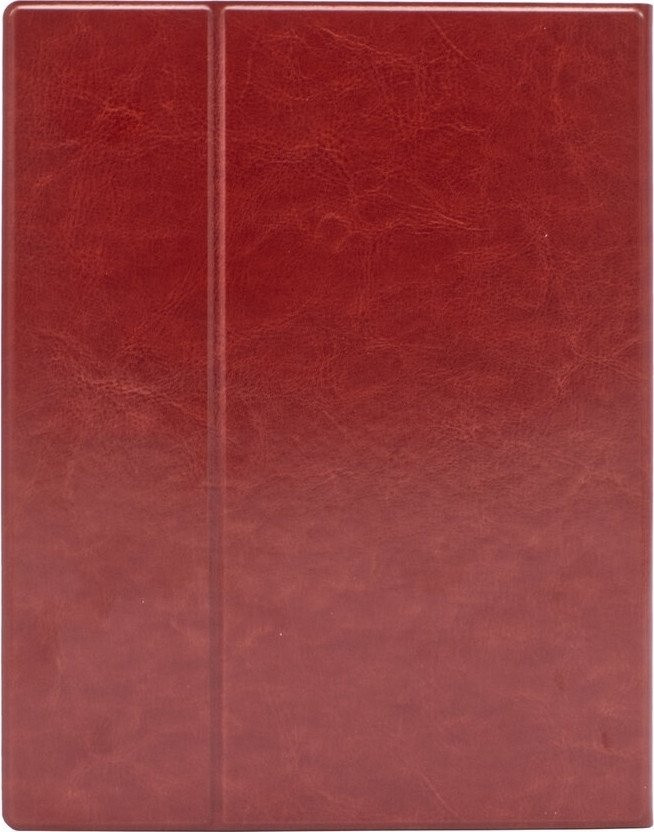 Электронная книга Onyx BOOX Lomonosov 3