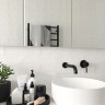Смеситель Pea Lungo CM547811 (черный)