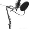 Микрофон Ritmix RDM-180