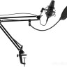 Микрофон Ritmix RDM-180