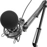 Микрофон Ritmix RDM-180