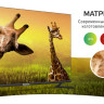 Телевизор Polar 55PU52TC-SM