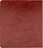 Электронная книга Onyx BOOX Galileo 2