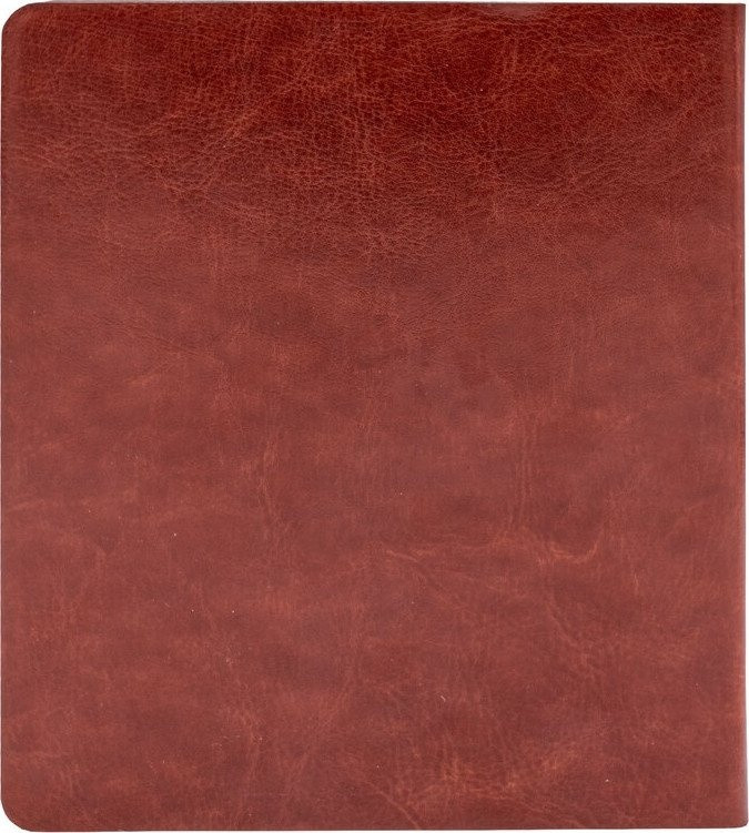 Электронная книга Onyx BOOX Galileo 2