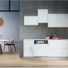Посудомоечная машина Whirlpool WRIC 3C26 P