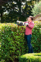 Кусторез Ryobi RHT25X55R