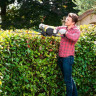 Кусторез Ryobi RHT25X55R