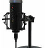 Конденсаторный микрофон Ritmix RDM-260 USB Eloquence