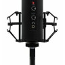 Конденсаторный микрофон Ritmix RDM-260 USB Eloquence