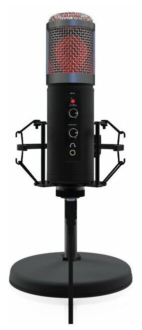 Конденсаторный микрофон Ritmix RDM-260 USB Eloquence