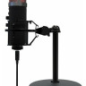 Конденсаторный микрофон Ritmix RDM-260 USB Eloquence