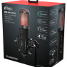Конденсаторный микрофон Ritmix RDM-260 USB Eloquence
