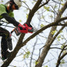 Аккумуляторная пила Milwaukee M18 FHS20-0 4933480117 (без АКБ)