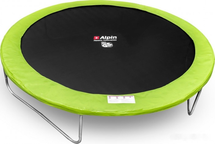 Батут Alpin 4.90 м с защитной сеткой и лестницей