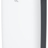 Осушитель воздуха Royal Clima Carisma Loft RD-CR20-E
