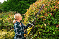 Кусторез Ryobi RHT36C61R-20S (с АКБ 2 Ah)