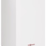 Отопительный котёл Viessmann Vitopend 100-W l тип A1JB (12 кВт)