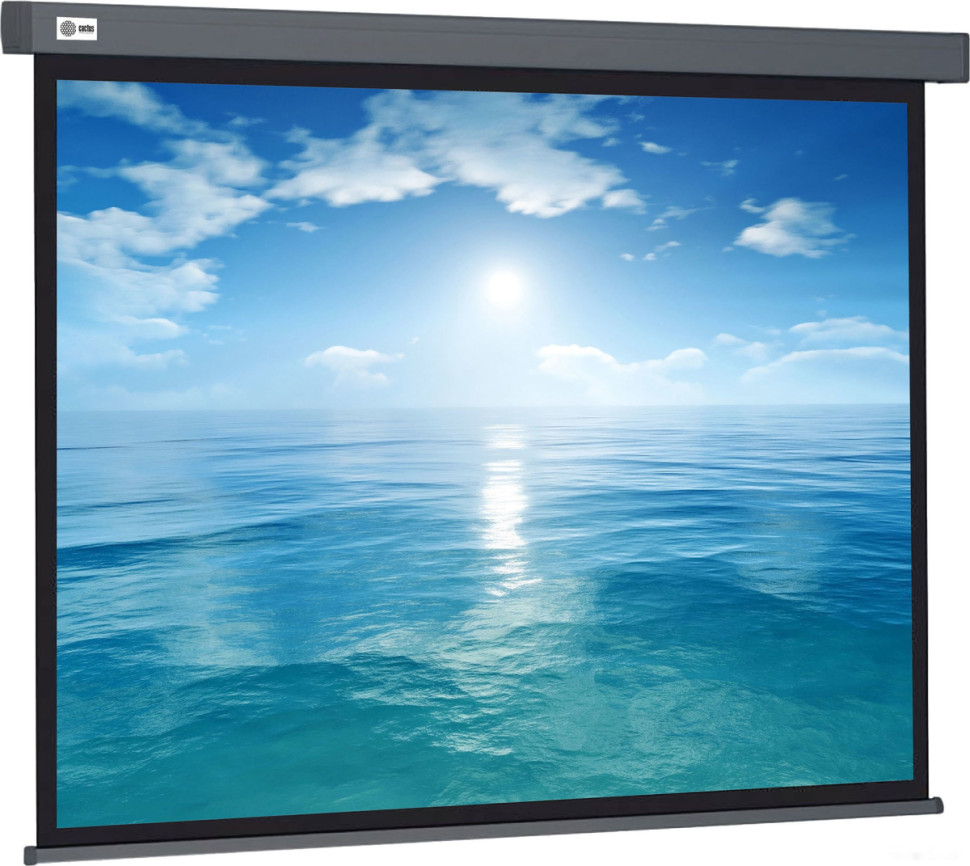 Проекционный экран Cactus Wallscreen 104x186 CS-PSW-104X186-SG