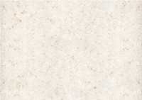 Кухонная мойка GranFest Practic GF-P505 (бежевый)