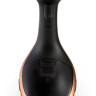 Отпариватель Tefal DT9100 Access Steam Care