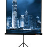 Проекционный экран Lumien Master View 220x220 (LMV-100111)