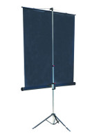 Проекционный экран Lumien Master View 220x220 (LMV-100111)