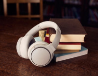 Наушники Panasonic RB-M500BGE-C