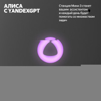 Умная колонка Яндекс Станция Мини 3 с часами (черный)