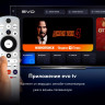 Телевизор HAIER H55S9UG PRO
