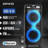 Патибокс AIWA CAS-513